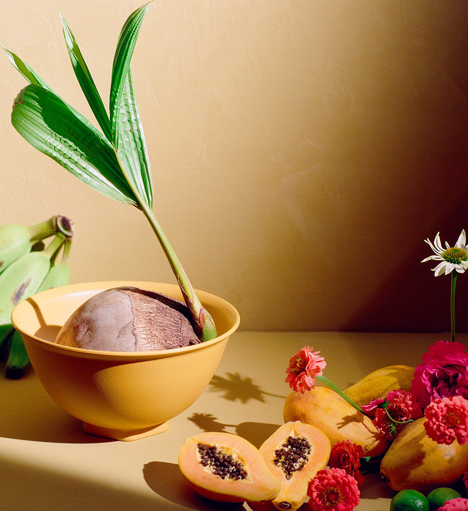 Lay your table for life.