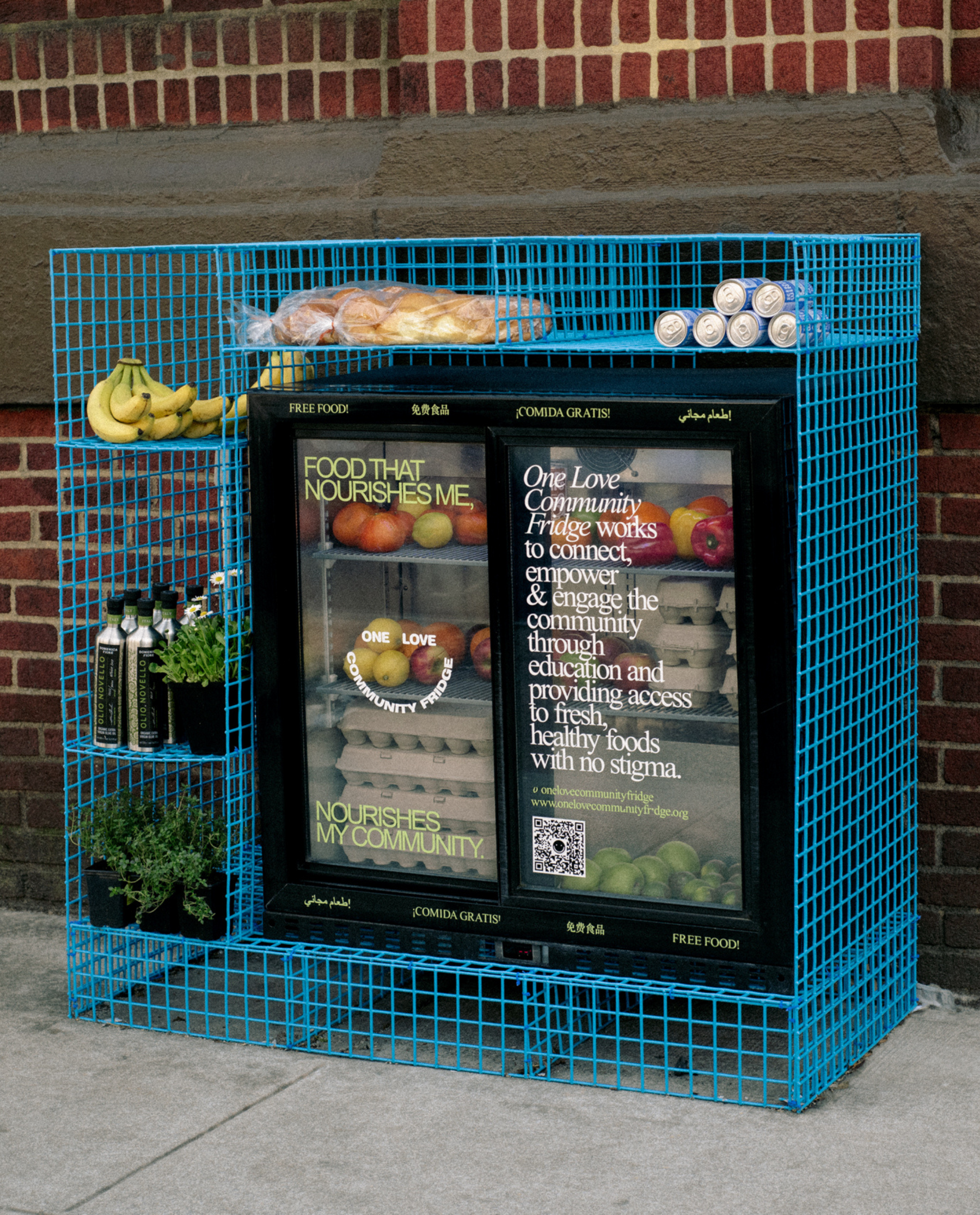 Give With Us - Donation